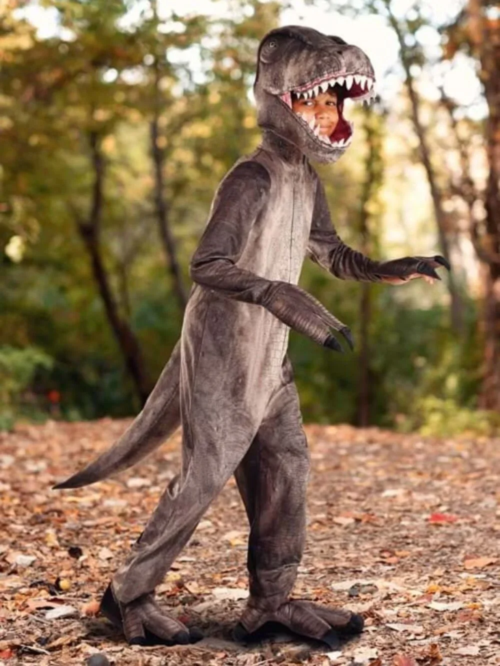 Dinosaur Costume